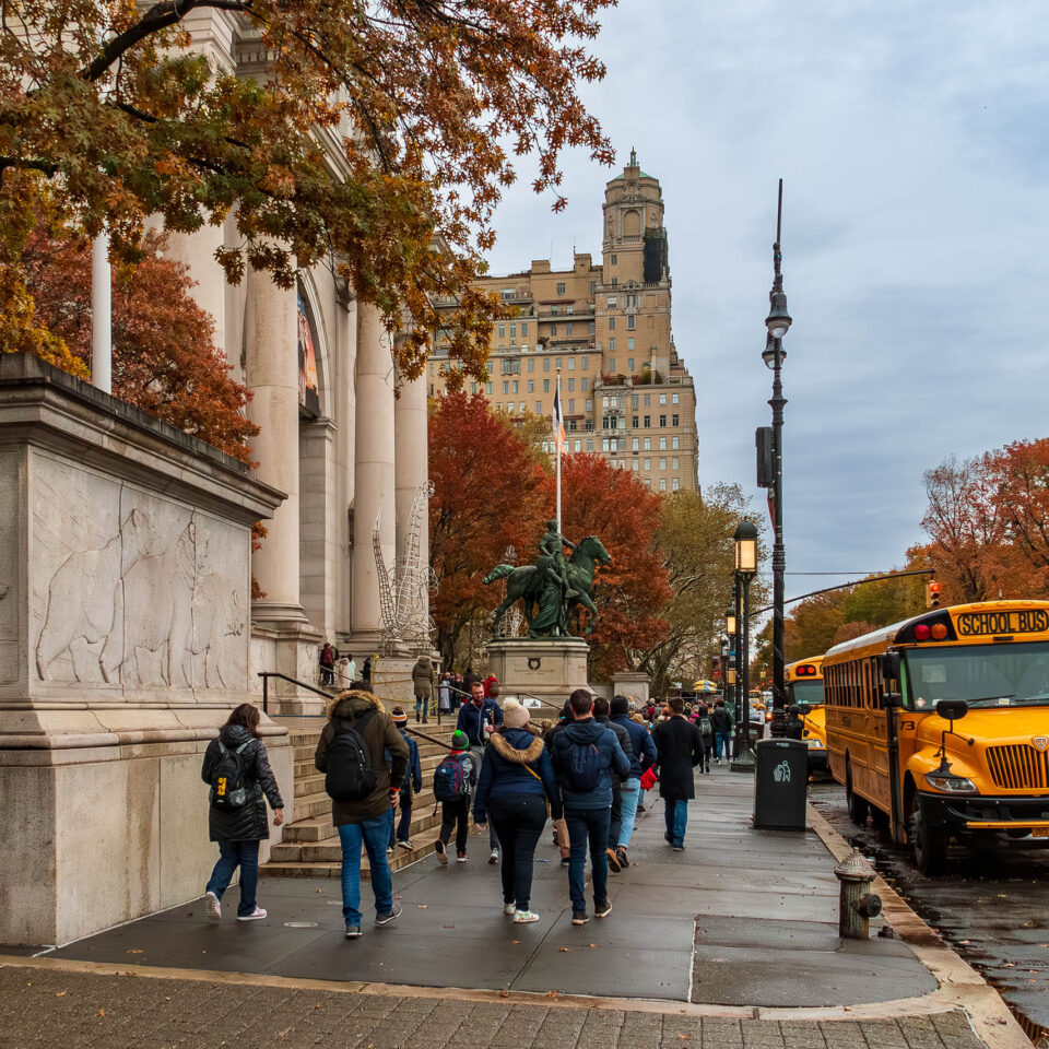 New York, USA. November 12, 2019. Buses are parked next to Central Park in front of the museum's facade.